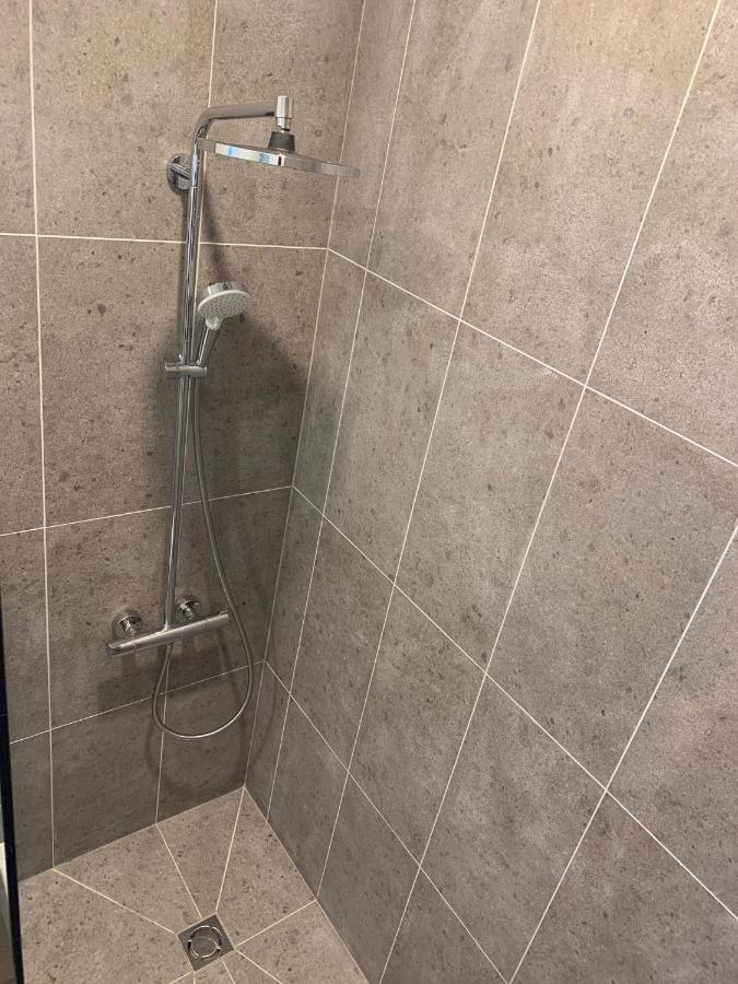 Zalio Kalno Apartamentai Kowno Zewnętrze zdjęcie